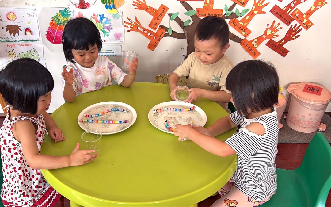 毛毛蟲帶來之小世界 — 記一位家庭日托幼教者分享教學點滴