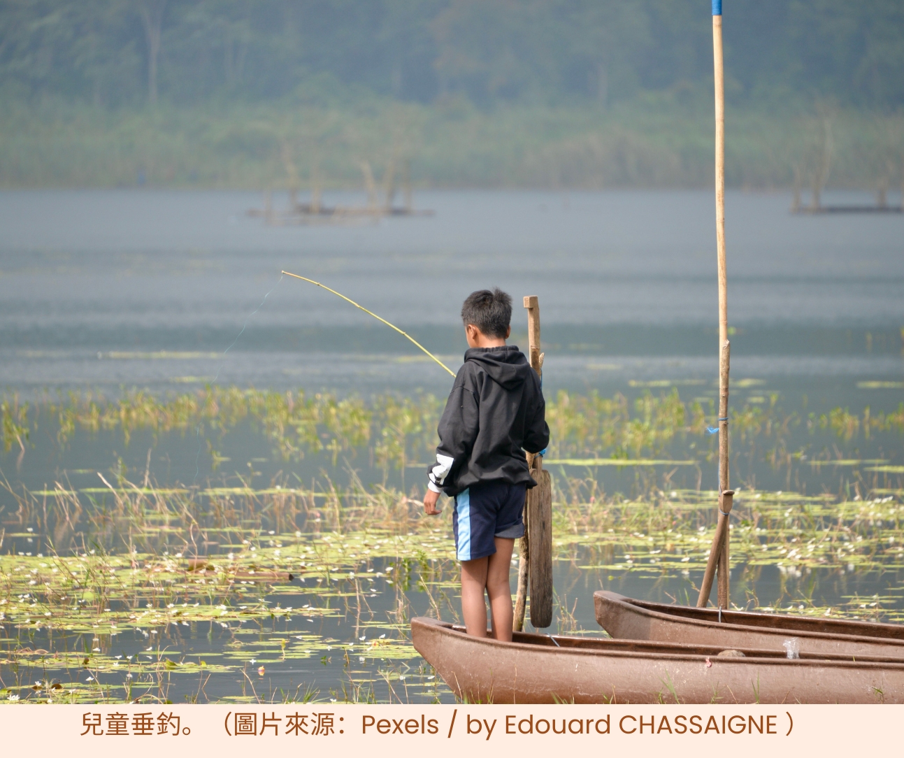 【029】水邊垂釣樂趣多（一）：初識釣魚