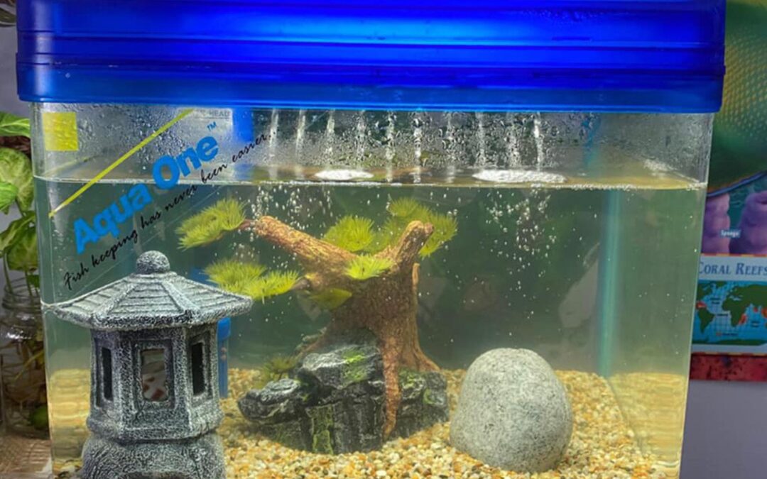 【030】水邊垂釣樂趣多（二）：釣魚對耐心的考驗