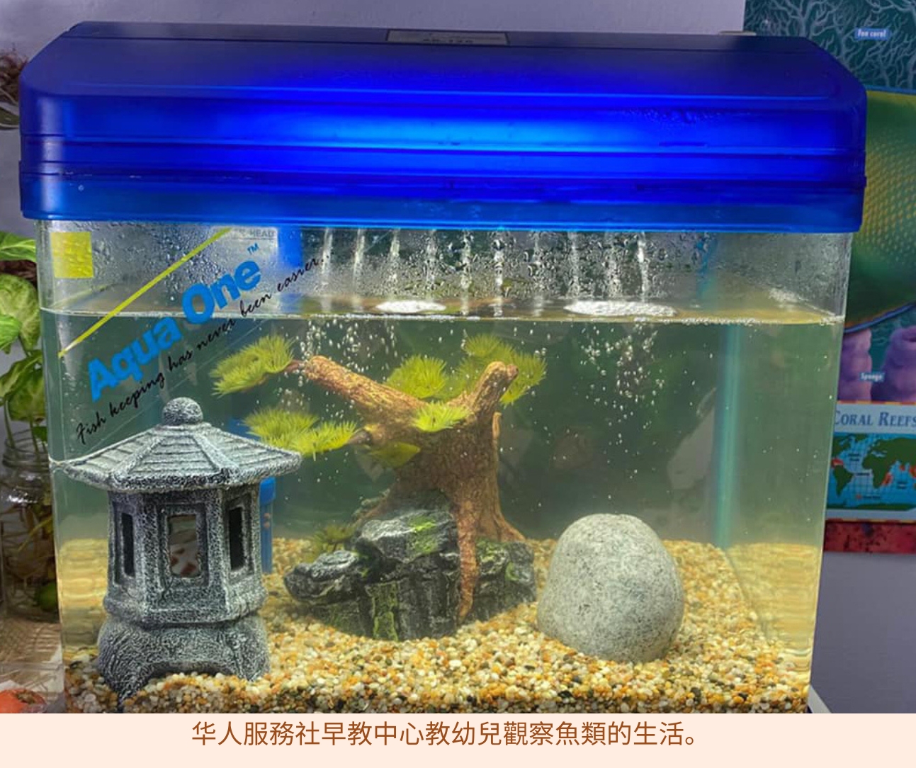 【030】水邊垂釣樂趣多（二）：釣魚對耐心的考驗